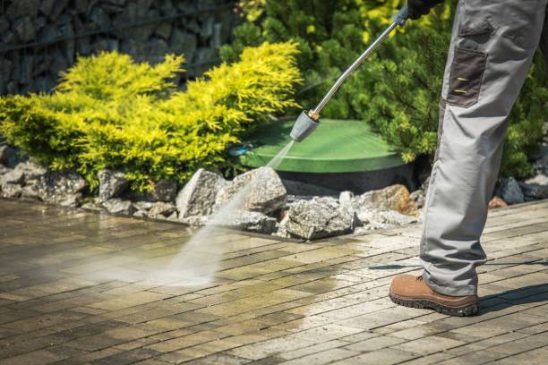 Best Oil Spill Cleanup  in The Galena Territory, IL