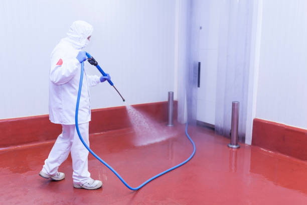 Best House Exterior Washing  in The Galena Territory, IL