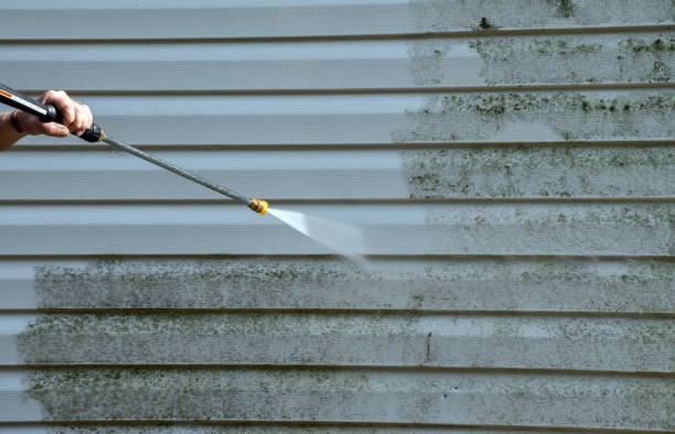 Animal Enclosure Cleaning in The Galena Territory, IL